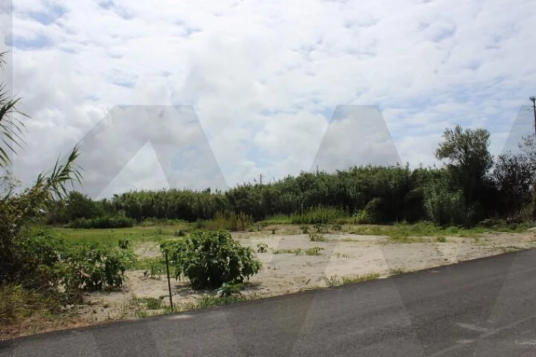 Terreno para Venda em Torreira Foto 2