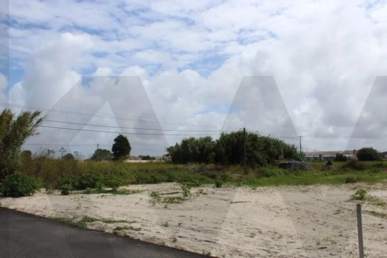 Terreno para Venda em Torreira
