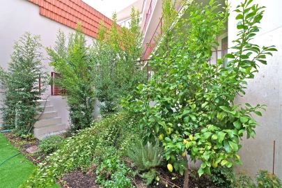 Apartamento T3 para Venda em Santo António