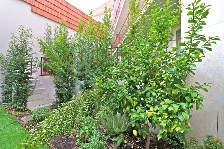 Apartamento T3 para Venda em Santo António Foto 8