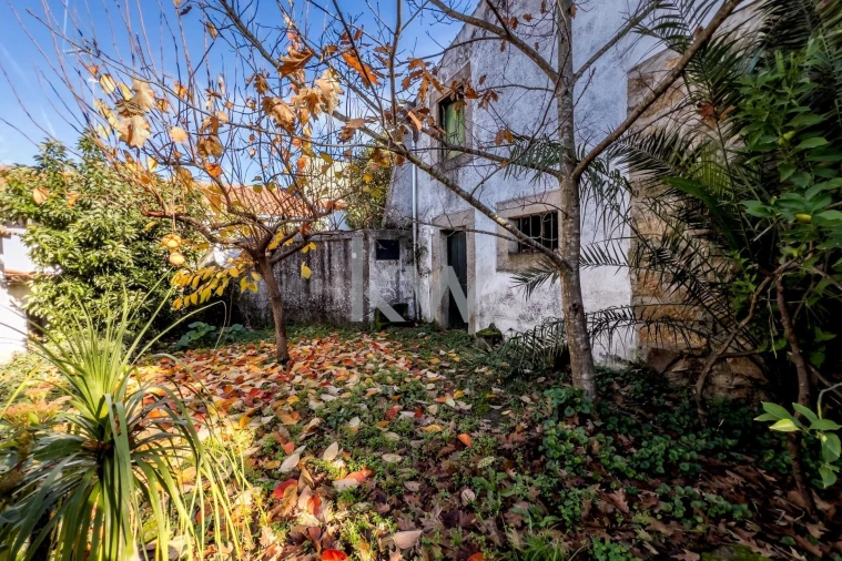 Moradia T4 para Venda em Penamacor Foto 11