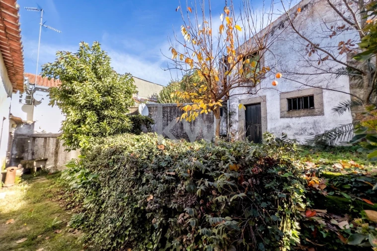 Moradia T4 para Venda em Penamacor Foto 6