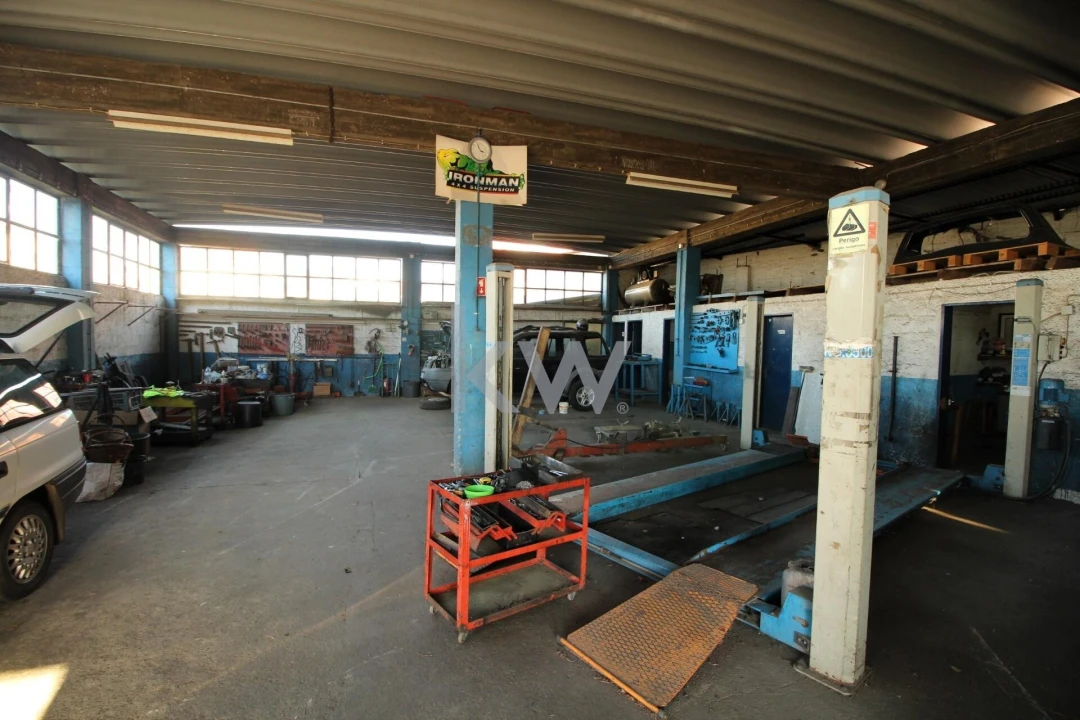 Armazém para Venda em Eiras e São Paulo de Frades Foto 3