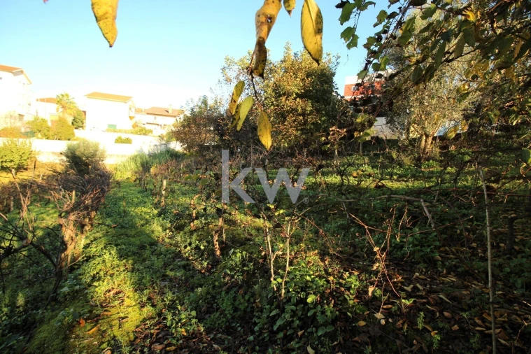 Armazém para Venda em Eiras e São Paulo de Frades Foto 28