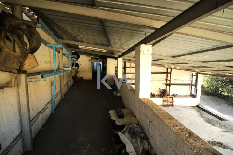 Armazém para Venda em Eiras e São Paulo de Frades Foto 22