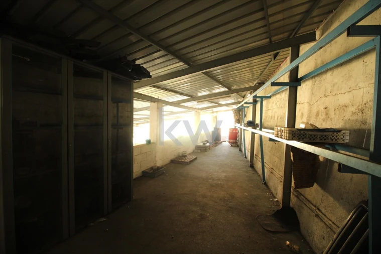 Armazém para Venda em Eiras e São Paulo de Frades Foto 23