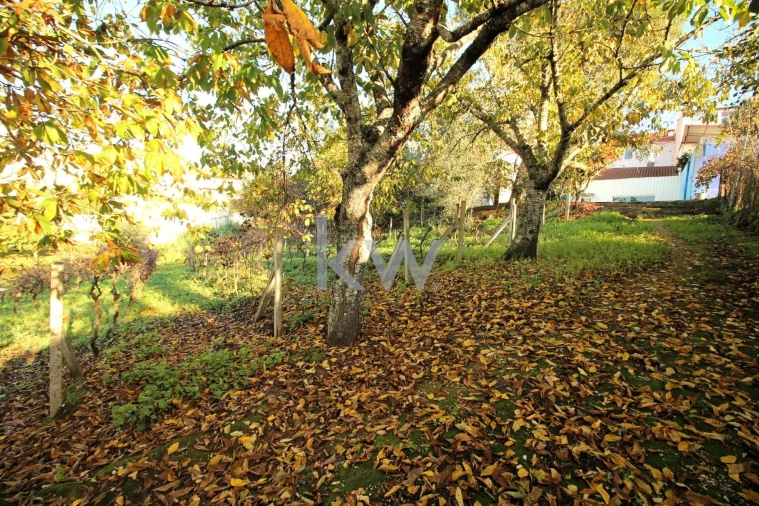 Armazém para Venda em Eiras e São Paulo de Frades Foto 27