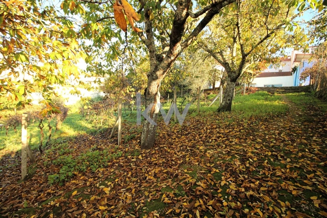 Armazém para Venda em Eiras e São Paulo de Frades Foto 27