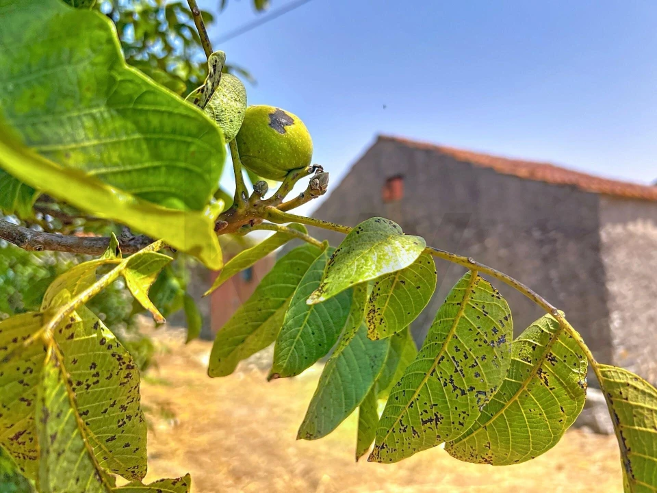 Moradia T3 para Venda em Evora de Alcobaça Foto 25