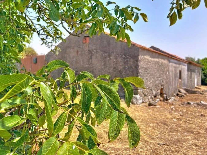 Quinta T3 para Venda em Evora de Alcobaça Foto 21
