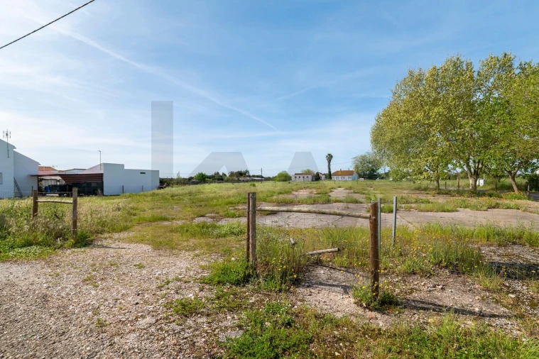 Terreno para Venda em Benfica do Ribatejo Foto 12