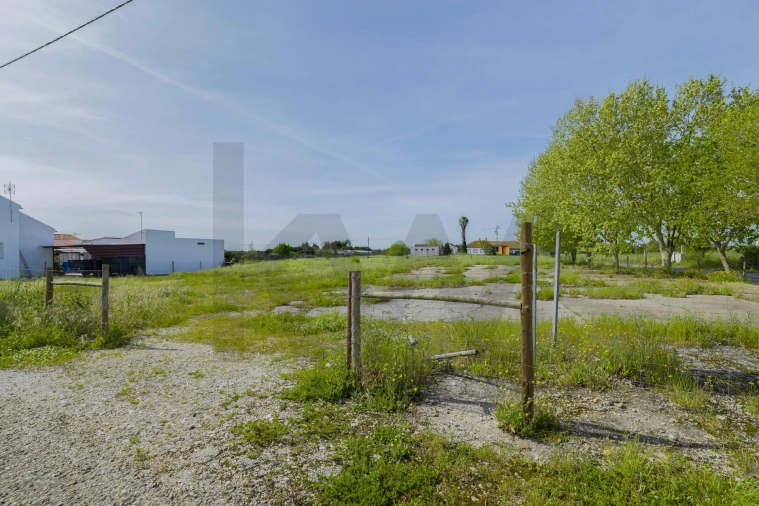 Terreno para Venda em Benfica do Ribatejo Foto 8