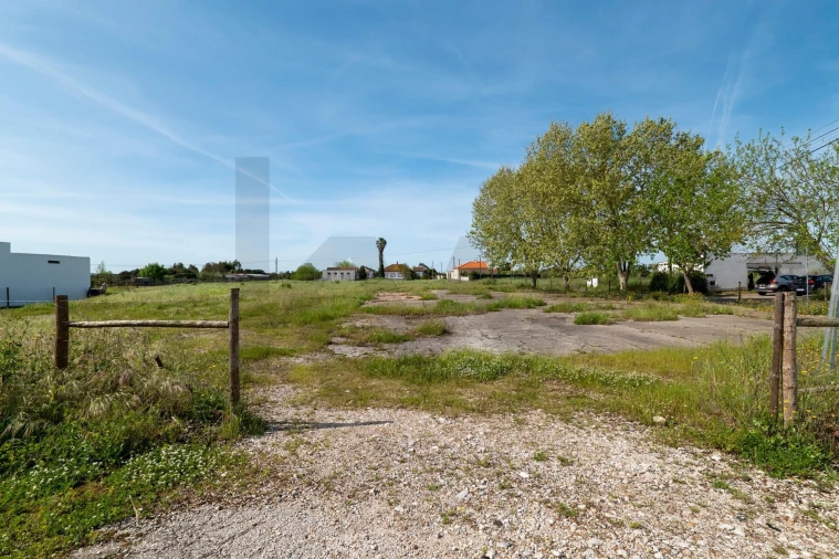 Terreno para Venda em Benfica do Ribatejo Foto 11