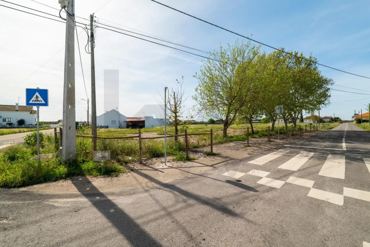 Terreno para Venda em Benfica do Ribatejo Foto 9