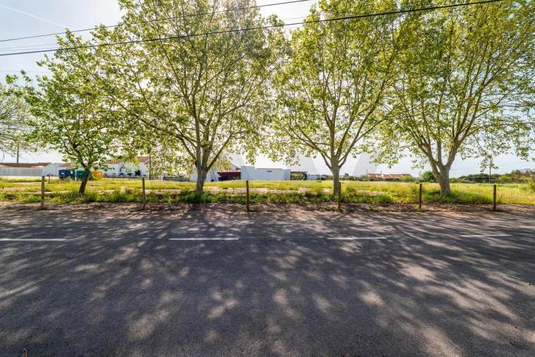 Terreno para Venda em Benfica do Ribatejo Foto 15