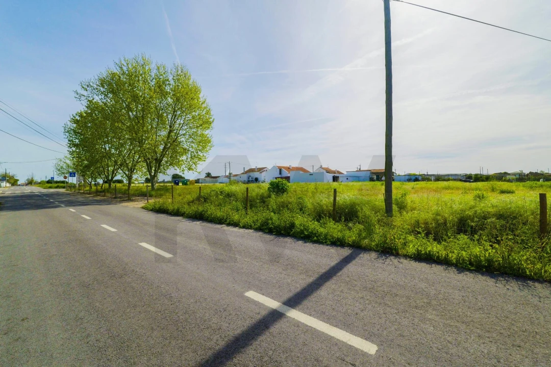 Terreno para Venda em Benfica do Ribatejo Foto 5