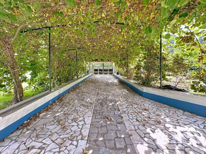 Moradia T5 para Venda em São João de Ver Foto 7