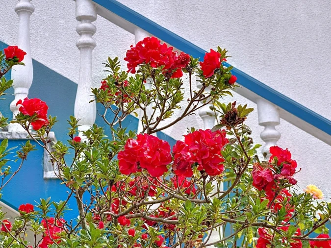 Moradia T5 para Venda em São João de Ver Foto 14