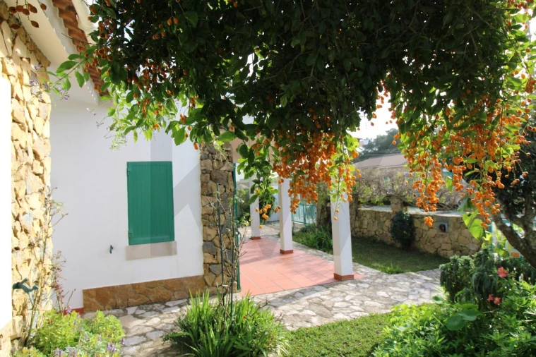 Moradia T3 para Venda em Carvoeira Foto 63