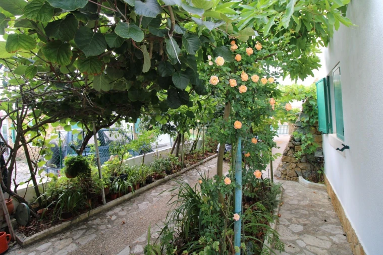 Moradia T3 para Venda em Carvoeira Foto 46