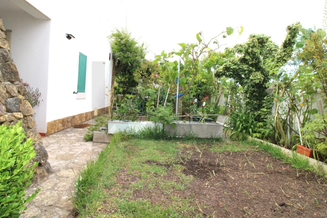 Moradia T3 para Venda em Carvoeira Foto 51