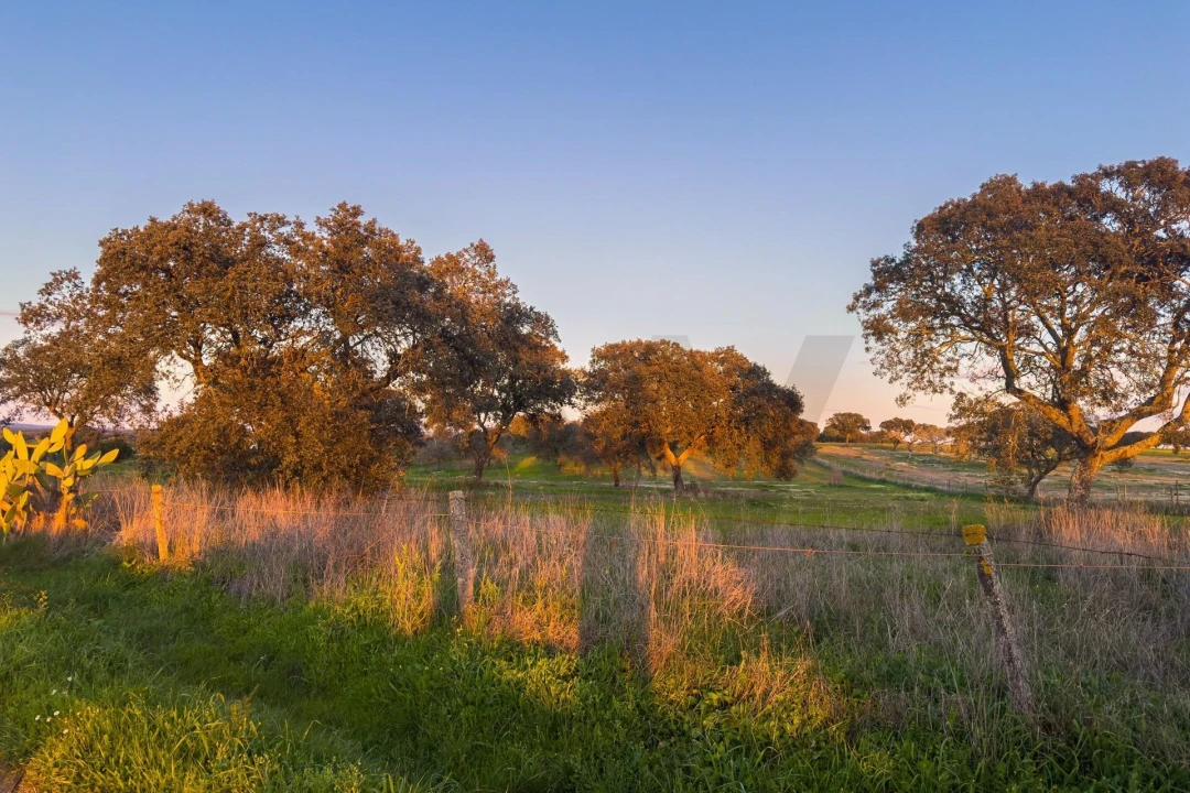 Terreno para Venda em São Cristovão Foto 11