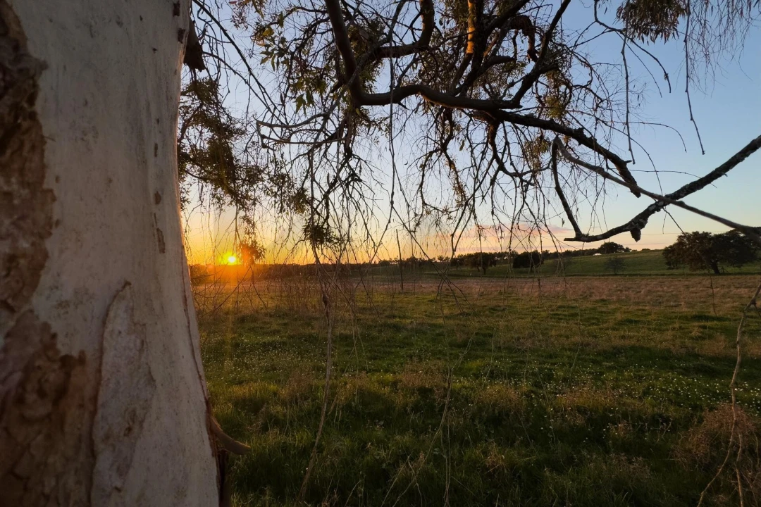 Terreno para Venda em São Cristovão Foto 14