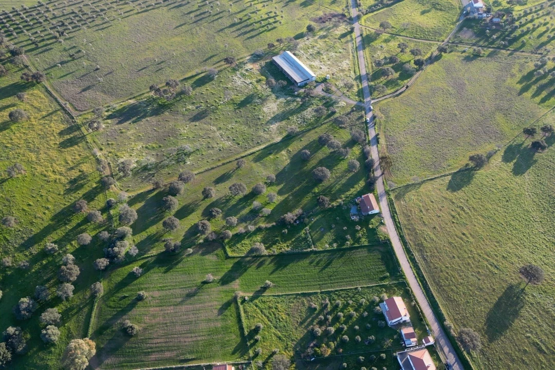Terreno para Venda em São Cristovão Foto 19