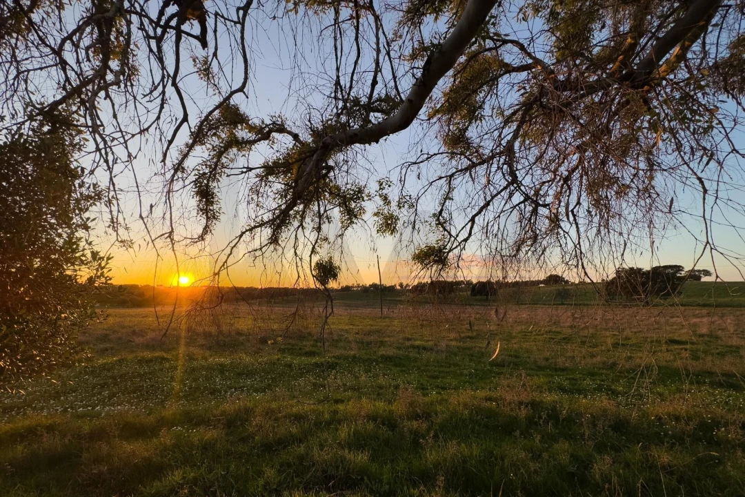 Terreno para Venda em São Cristovão Foto 13