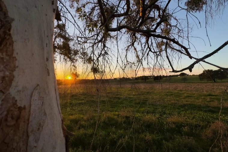 Terreno para Venda em São Cristovão Foto 14