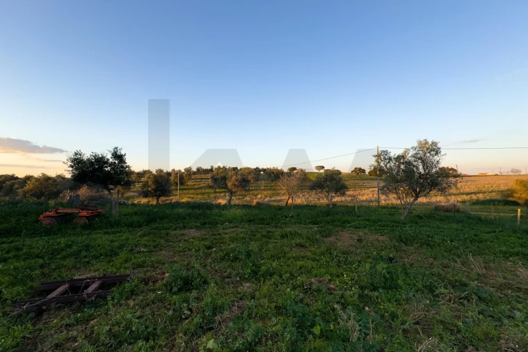 Terreno para Venda em São Cristovão Foto 8