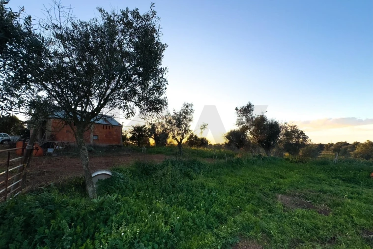 Terreno para Venda em São Cristovão Foto 6