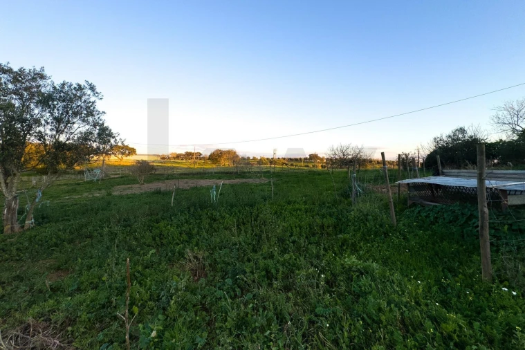 Terreno para Venda em São Cristovão Foto 9