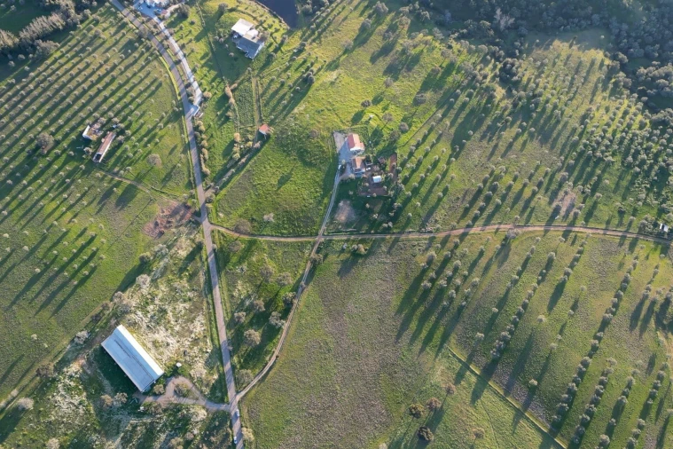 Terreno para Venda em São Cristovão Foto 21
