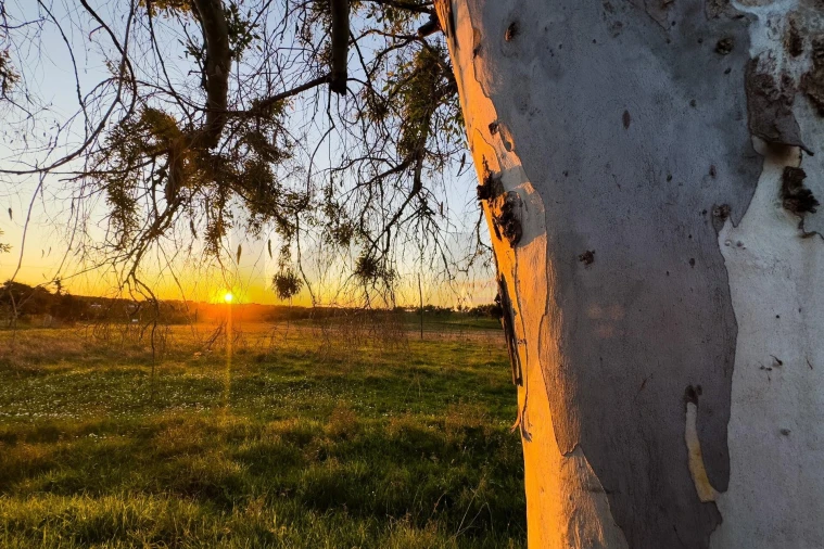 Terreno para Venda em São Cristovão