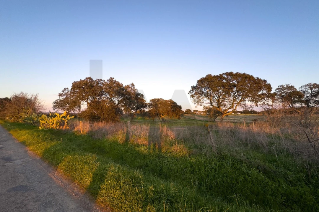 Terreno para Venda em São Cristovão Foto 12