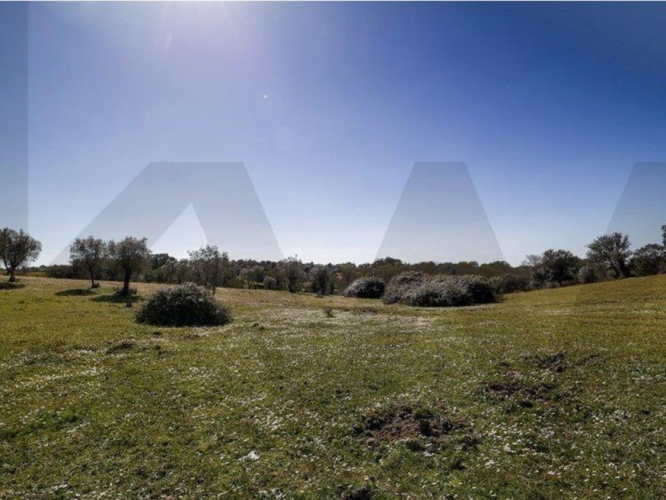 Terreno para Venda em Alter do Chão Foto 12