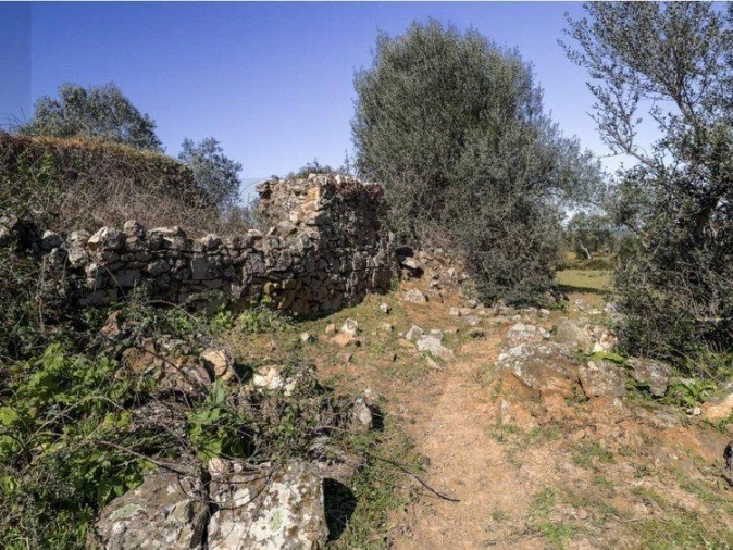 Terreno para Venda em Alter do Chão Foto 10