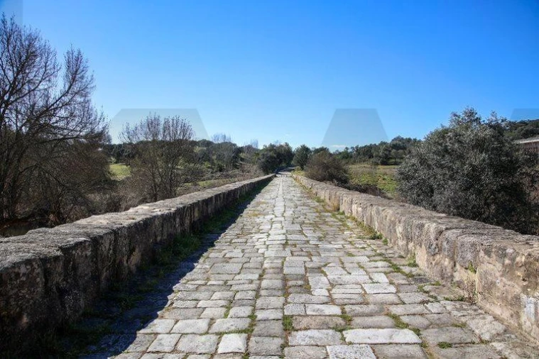 Terreno para Venda em Alter do Chão Foto 4