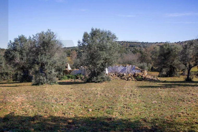 Terreno para Venda em Alter do Chão Foto 7