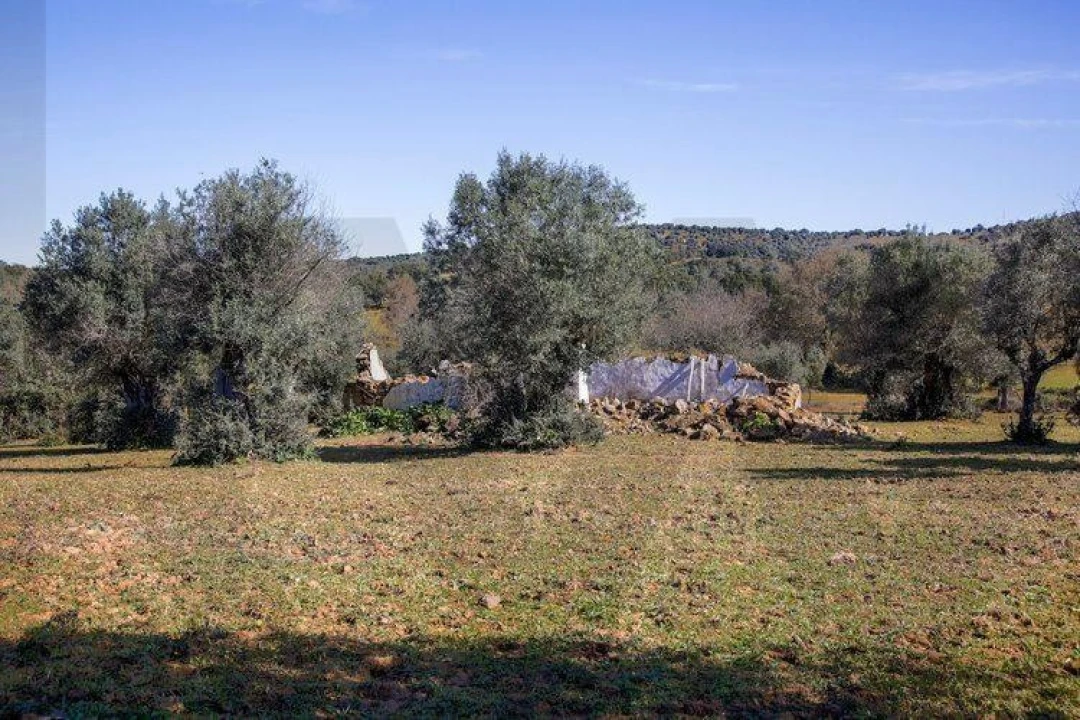 Terreno para Venda em Alter do Chão Foto 7