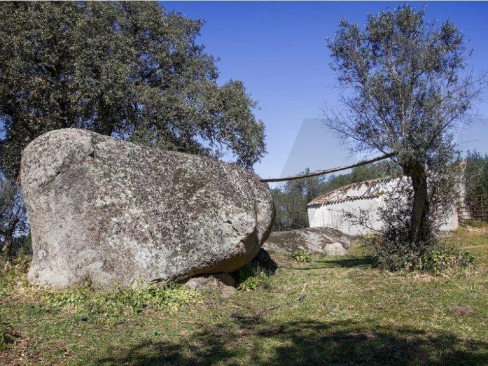 Terreno para Venda em Alter do Chão Foto 8