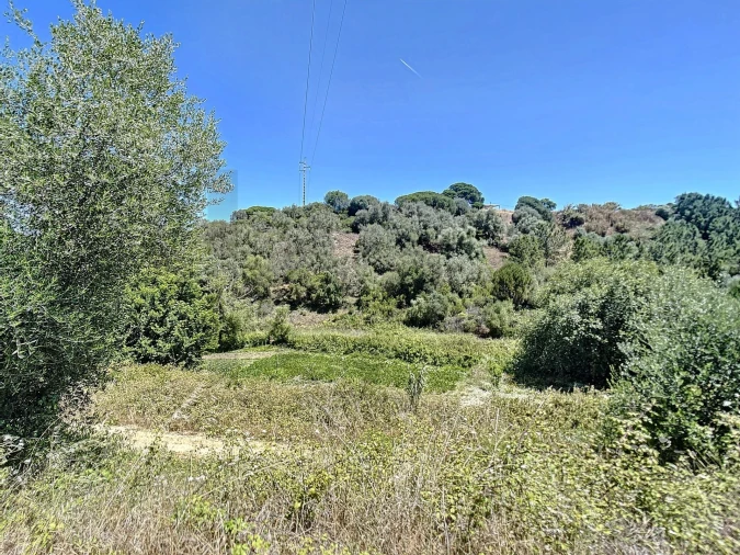 Moradia T5 para Venda em Sesimbra (Castelo) Foto 45