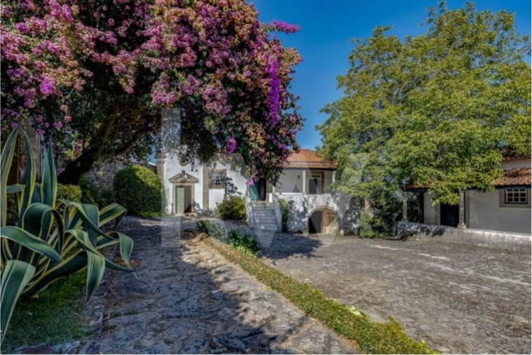 Quinta T9 para Venda em Lomba Foto 4