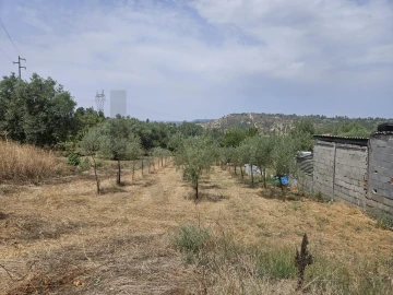 Terreno para Venda em Brasfemes