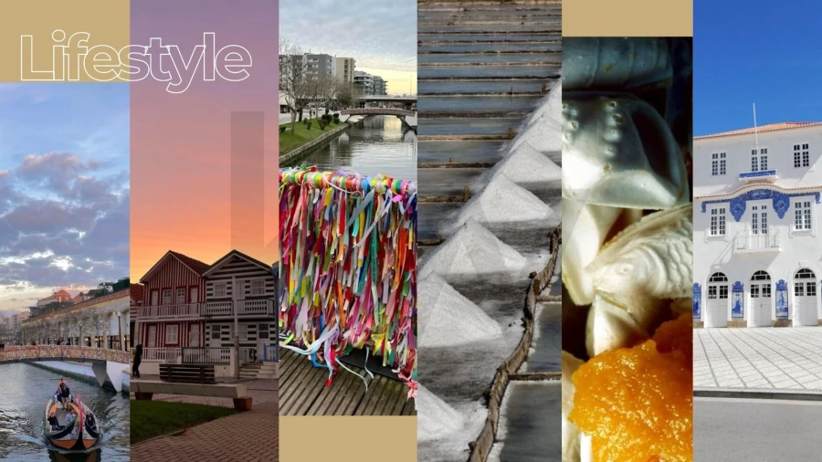 Prédio para Venda em Requeixo, Nossa Senhora de Fátima e Nariz Foto 16