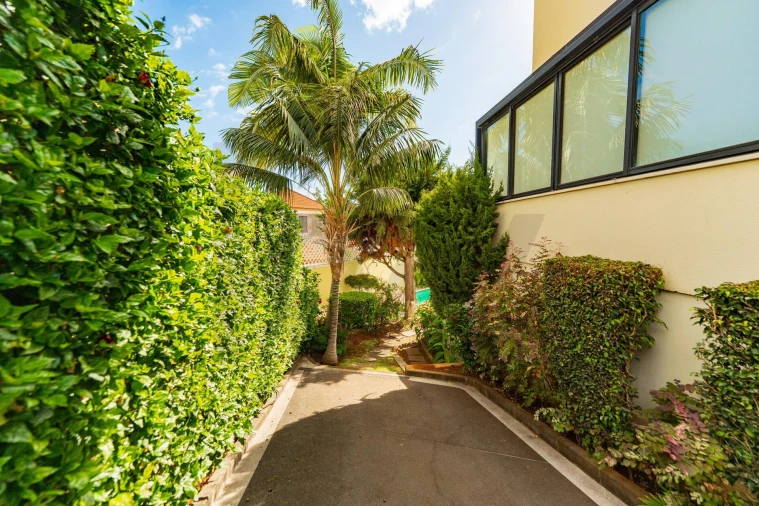 Moradia T4 para Venda em Funchal (Santa Maria Maior) Foto 48