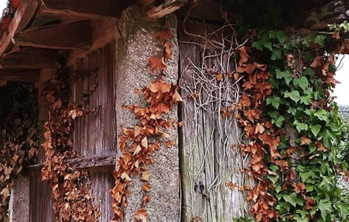 Quinta T6 para Venda em Recardães e Espinhel Foto 43