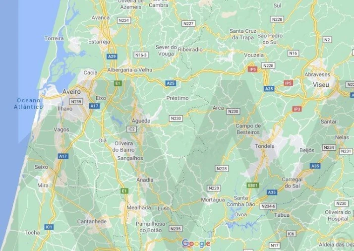 Quinta T6 para Venda em Recardães e Espinhel Foto 50