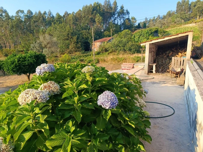 Quinta T6 para Venda em Recardães e Espinhel Foto 42